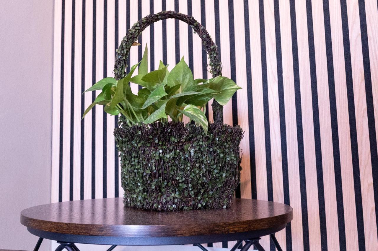 Apartament Tiny Daisy House Neapol Zewnętrze zdjęcie